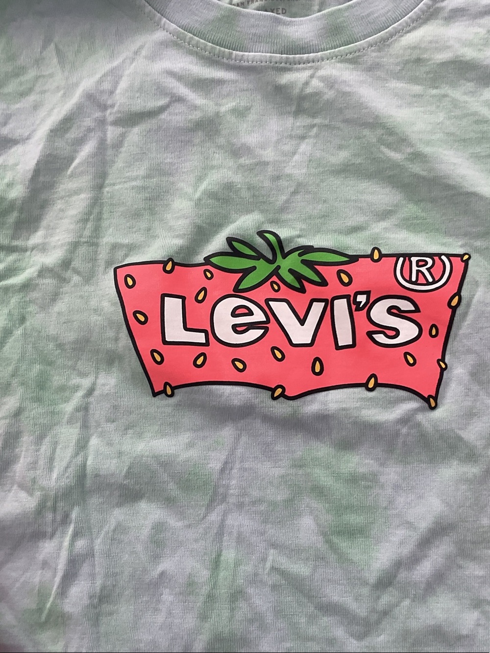 Levi's Mint Green Long Sleeve Tee with Pink Strawberry Logo - Picture 2 of 4